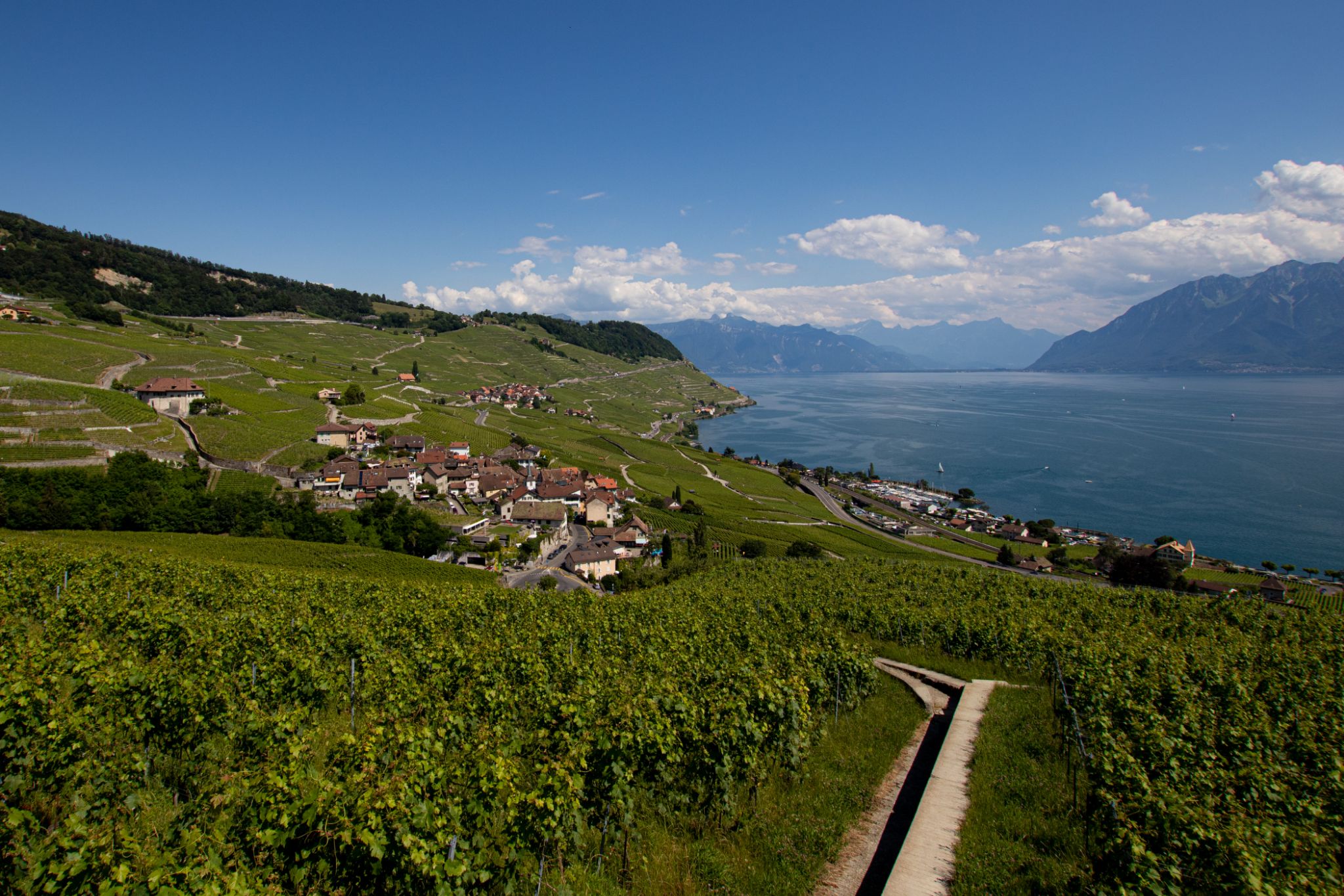 SBR PaysagesDuLéman 3x2 1